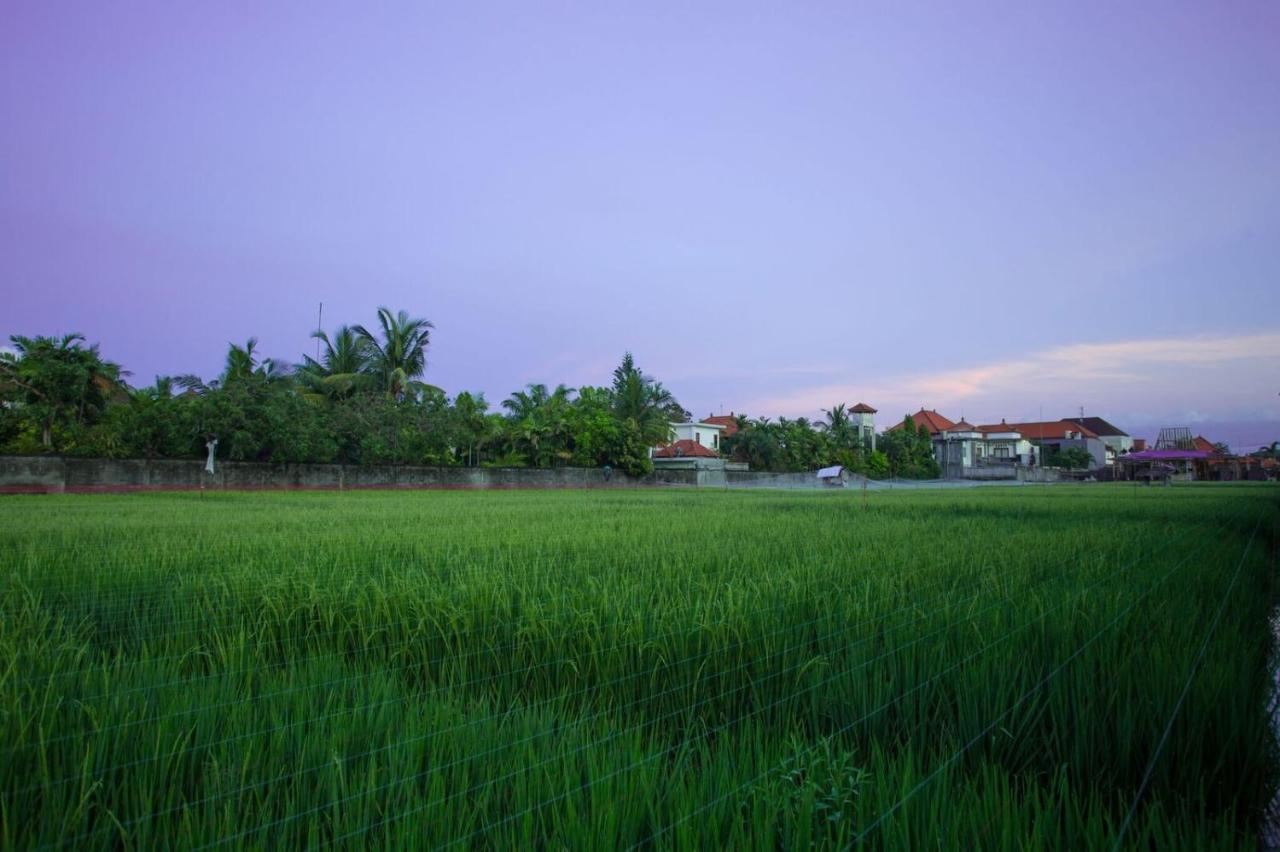 The Awandari Villas Seminyak - Chse Certified Exteriör bild